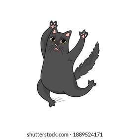 Vector black cat is scared and runs. Panic, shock, surprise. cat raised its paws. Funny character design 