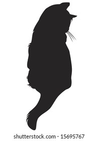 Vector black cat silhouette against the white background