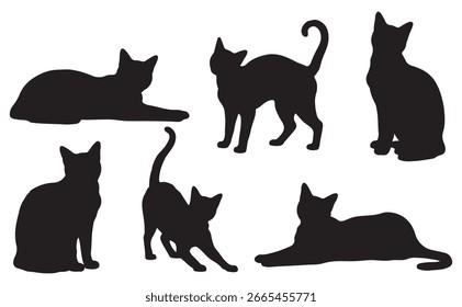 colección de silueta de gato negro de Vector, diferentes posiciones y Formas de cola, diseño minimalista limpio