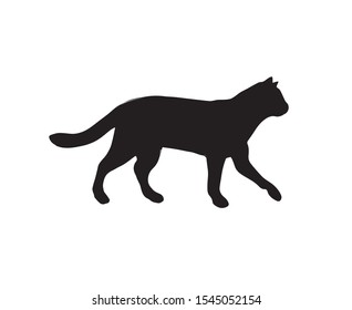 Vector black cat silhouette isolated on white background