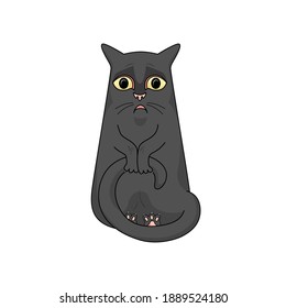 黒猫 イラスト High Res Stock Images Shutterstock