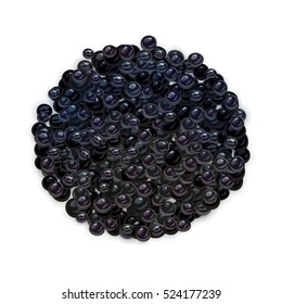 Vector black caviar isolated on white background