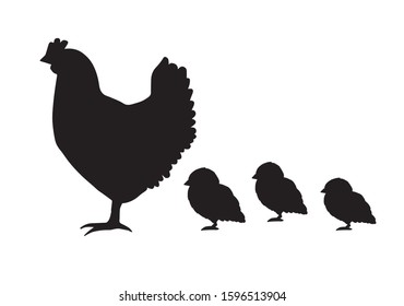 Vector black chicken and baby chicks silhouette isolated on white background