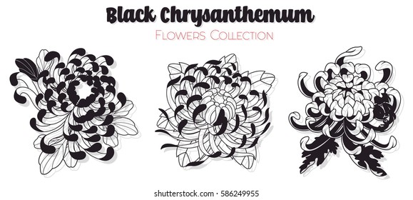 Chrysanthemum Tattoo Images Stock Photos Vectors Shutterstock