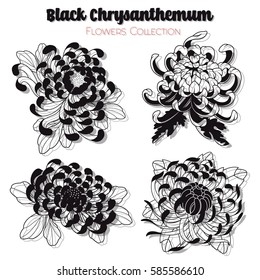 Vector Black Chrysanthemum Set Traditional Tattoo Designs Stickers