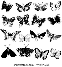 Vector black collection of different butterfly illustrations, isolated over white background.