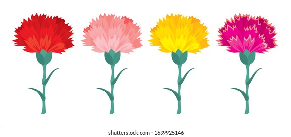 Vector black and color carnation flowers set