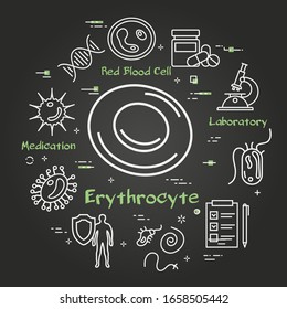 Vector black concept of bacteria and viruses - erythrocyte icon