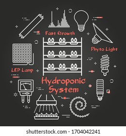 Vector black concept of hydroponic and growth led light - hydroponic system