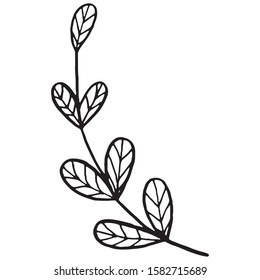 Vector black contour of a Christmas mistletoe branch in a minimalistic style. Christmas winter illustration for adults, children`s coloring.