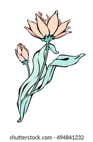 Vector black contour with color fill Lily flowers isolated on white background.