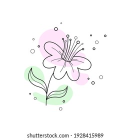 Vector black Contour of a Flower. Doodle Cherry Blossom, apple tree on white background. A flower in a hand-drawn style.