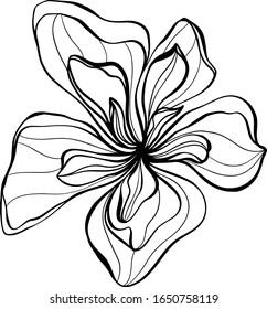 Vector black contour flowers  on an beige isolated background. In style cartoon.  Use as a postcard, in graphic design, product packaging, branding, wedding invitation, cloth textile. 