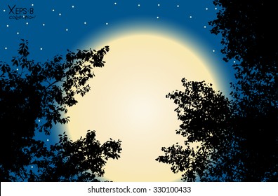 Vector black contour of tree leaves on blue sunset with stars background. Vector illustration