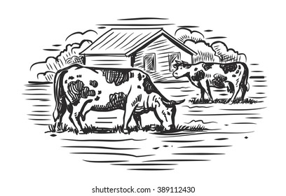 vector black cow and farm on white background