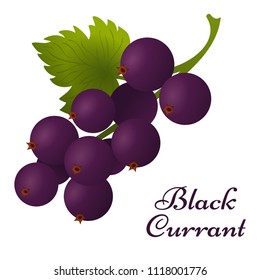 Vector black currant with leaves on branch icon. Isolated elements on white background. Perfect for game icon or other design works.
