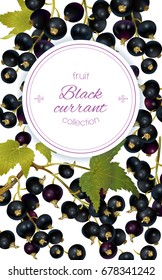 Vector black currant vertical banner on white background. Design for sweets and pastries filled with berry, dessert menu, natural cosmetics, health care products. With place for text