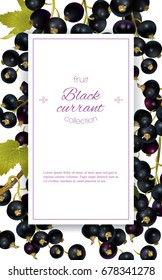 Vector black currant vertical banner on white background. Design for sweets and pastries filled with berry, dessert menu, natural cosmetics, health care products. With place for text