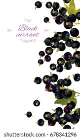 Vector black currant vertical banner on white background. Design for sweets and pastries filled with berry, dessert menu, natural cosmetics, health care products. With place for text