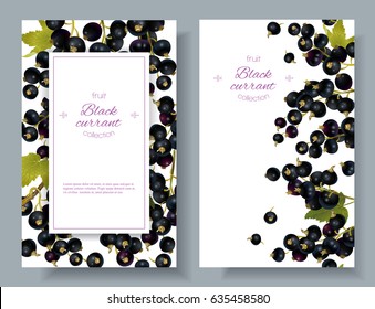 Vector black currant vertical banners on white background. Design for sweets and pastries filled with berry, dessert menu, natural cosmetics, health care products. With place for text