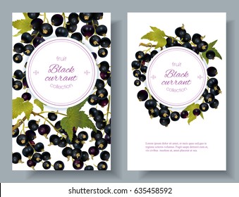 Vector black currant vertical banners on white background. Design for sweets and pastries filled with berry, dessert menu, natural cosmetics, health care products. With place for text