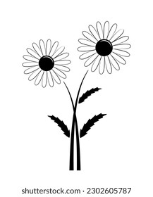 vector black daisies isolated on white background