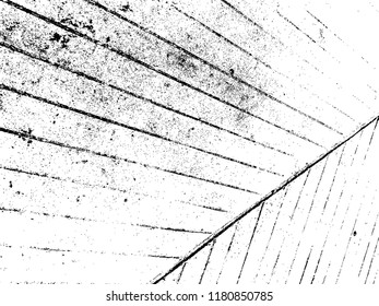 Vector black dot or Grunge texture