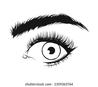Vector black drawing of beautiful woman's eye with eyeliner and long eye lashes on white background