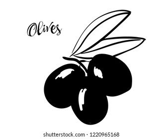 Vector black and ebony illustration of olives. Hands drawn black olive on white background