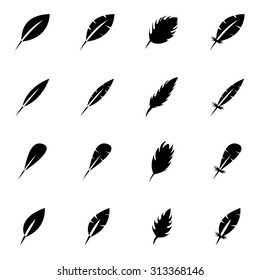 Vector black feather icon set. 