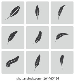 Vector black feather icons set