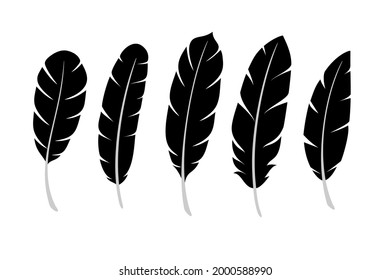 Vector of black feather on white background