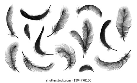 Vector black feathers collection, set of different falling fluffy twirled feathers, isolated on white, transparent background. Realistic style, colorful vector 3d illustration.