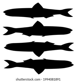 Pescado negro vectorial, anchoa, hábitat marino
