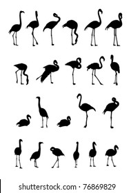 vector black flamingo silhouettes on white background