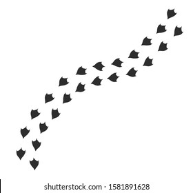 Vector black flat duck or goose bird foot print path steps isolated on white background