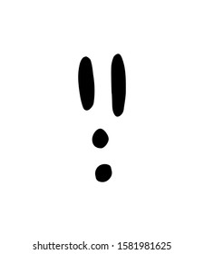 Vector black flat hare or rabbit foot print steps isolated on white background