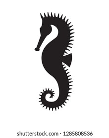 Vector black flat seahorse sea horse silhouette isolated on white background 