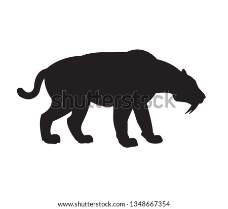 Vector black flat silhouette of saber-toothed tiger isolated on white background 