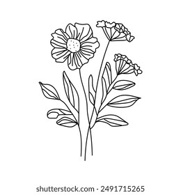 Vector black flowers bouquet icon, illustration thin line image ,botanical lines art flower, Minimalist contour drawing of flower bouquet.