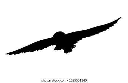 Vector Black Flying Owl Silhouette Isolated On White Background