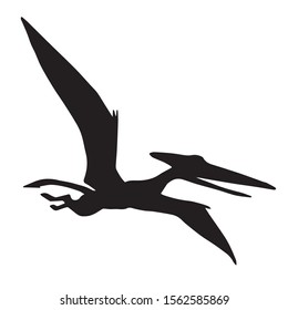 Vector black flying pterodactyl dinosaur silhouette isolated on white background