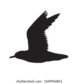 Vector black flying sea gull silhouette isolated on white background