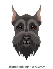 Vector black giant schnauzer face pet zoo icon