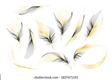 Colección de plumas de oro negro vectorial, conjunto de diferentes plumas torcidas de plumas giradas en caída sobre un fondo blanco.