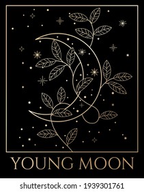 vector black and gold illustration young moon with leaves, izotheric black and gold art