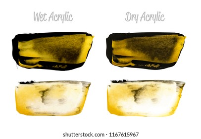 Vector black and gold paint smear stroke stain set. Abstract gold glittering textured art illustration. Brush stroke isolated on white. Hand painted backdrop for greeting, gift, wedding, birthday card