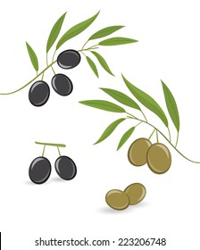 Vector black and green olives