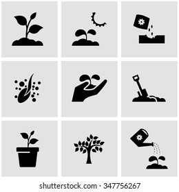 Vector Black Growing Icon Set.