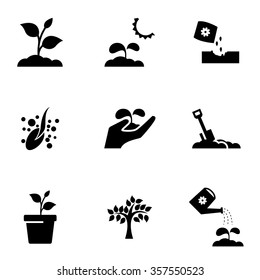 Vector Black Growing Icon Set.